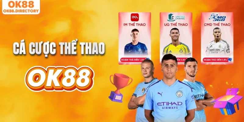 Cá cược thể thao mỗi ngày